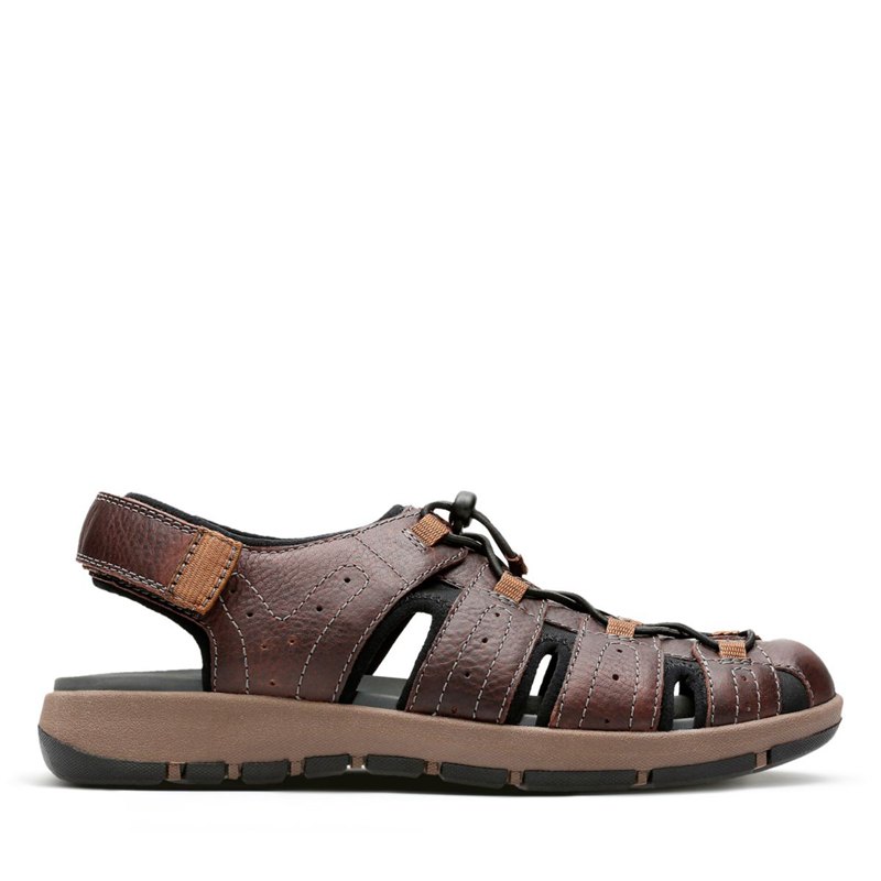 Clarks Brixby Cove Dark Brown | 37506324